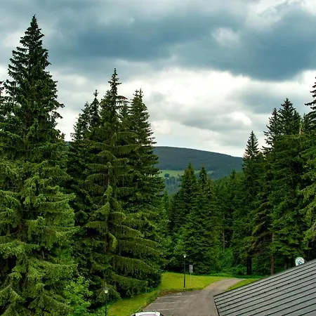 Ve Skiresortu Poustevnik - Апартаменты *