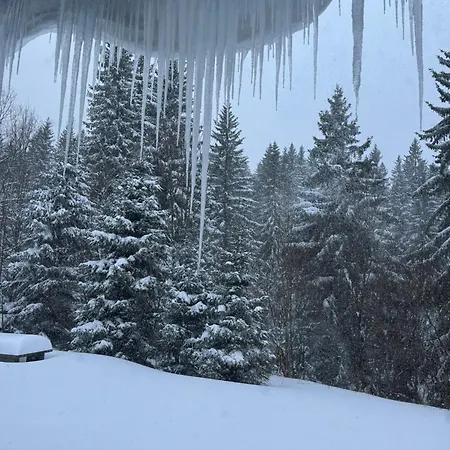 Ve Skiresortu Poustevnik - Apartman Pec pod Sněžkou