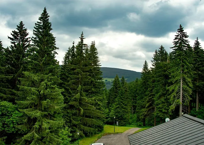 Ve Skiresortu Poustevnik - Apartman *
