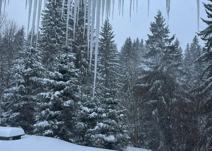 Ve Skiresortu Poustevnik - Apartman Pec pod Sněžkou