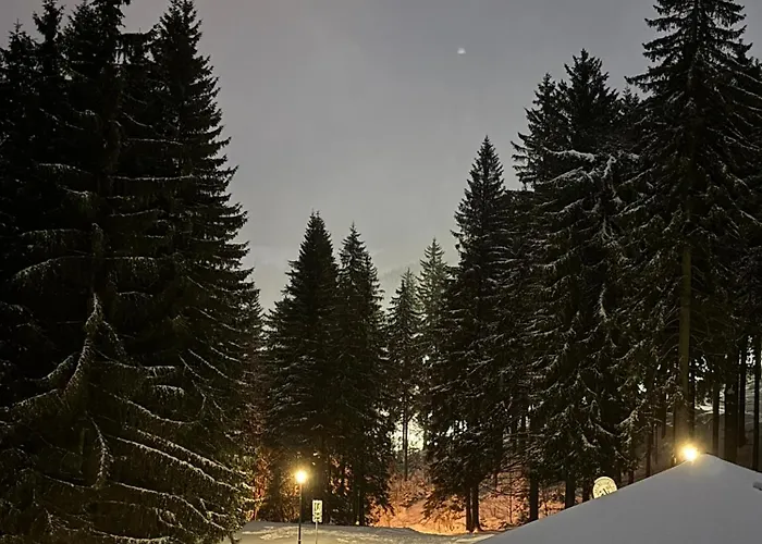 Apartman Ve Skiresortu Poustevnik - Pec pod Sněžkou